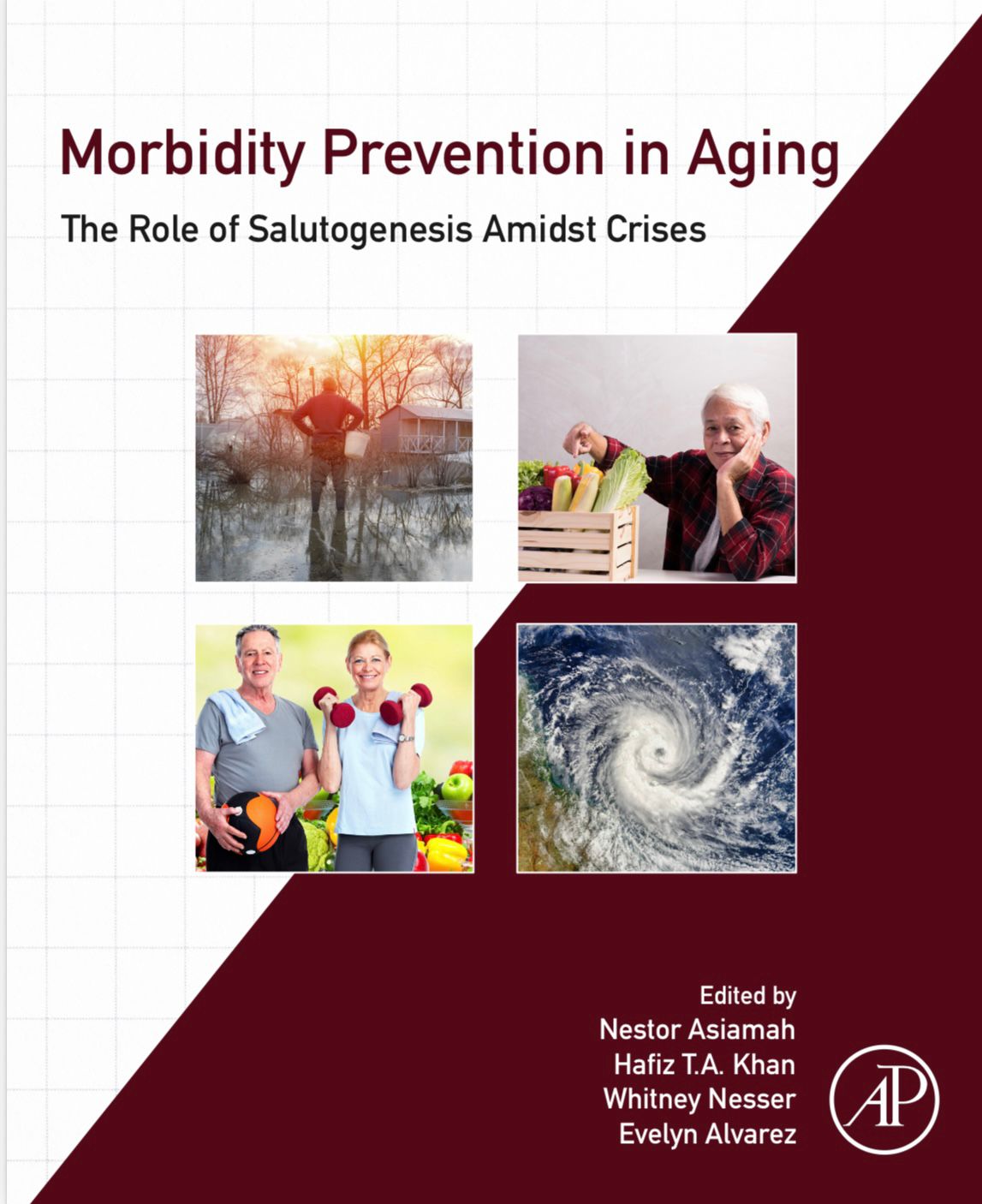 Morbidity Prevention in Aging — Cover